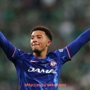 澳客足彩-新赛季意甲轮换阵容分析：哪支球队调度最合理？